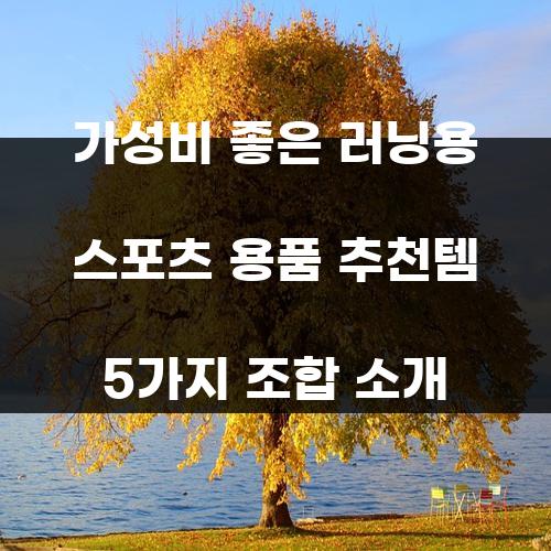 가성비 좋은 러닝용 스포츠 용품 추천템 5가지 조합 소개
