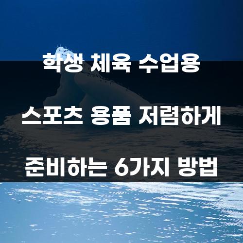 학생 체육 수업용 스포츠 용품 저렴하게 준비하는 6가지 방법