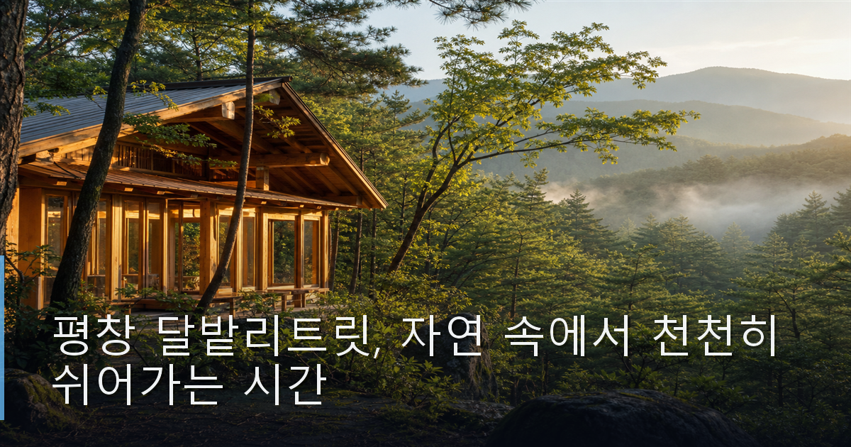 평창 달밭리트릿, 자연 속에서 천천히 쉬어가는 시간
